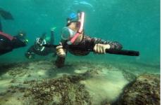 WhatsApp Image 2020-10-21 at 4.01.11 PM.jpeg