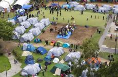 لاجئو بلجيكا