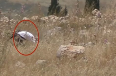 جندي يحرق حقول الفلسطينيين