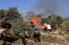 حرق اراضي المواطنين