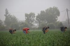 ضباب ‫(29011856)‬ ‫‬.jpeg