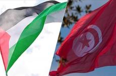 تونس وفلسطين.jpg