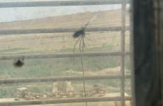 WhatsApp Image 2021-01-13 at 1.07.43 PM.jpeg