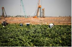 WhatsApp Image 2020-10-21 at 3.56.15 PM (1).jpeg