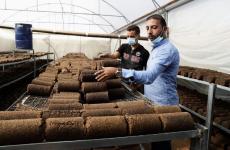 مهندس من خانيونس.JPG