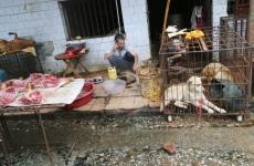 سوق الحيوانات الحية في ووهان