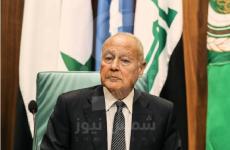 أحمد أبو الغيط.jpg