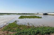 اغراق اراضي المزارعين