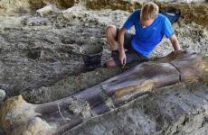 العثور على عظمة ديناصور عملاق في جنوب غرب فرنسا