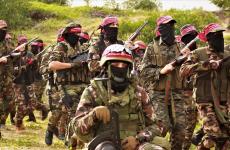 كتائب المقاومة الوطنية.jpg