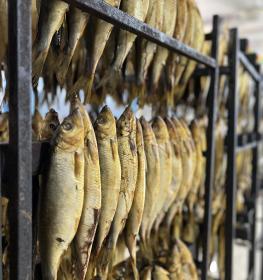 تجهيز سمك الفسيخ