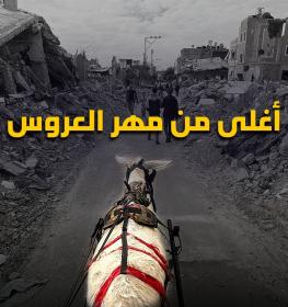 أسعار الحيوانات في غزة