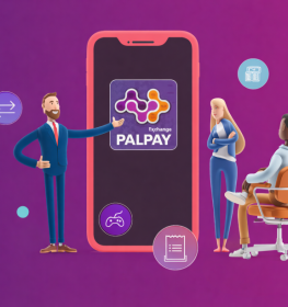 محفظة بال باي