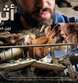 الأضاحي في غزة