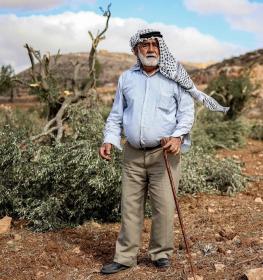 تتعرض الأراضي الزراعية الفلسطينية، ولا سيما القريبة من المستوطنات والبؤر الاستيطانية والطرق الالتفافية، لاعتداءات متكررة