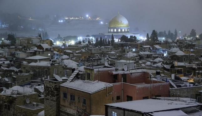 الثلوج في فلسطين (1).jpeg