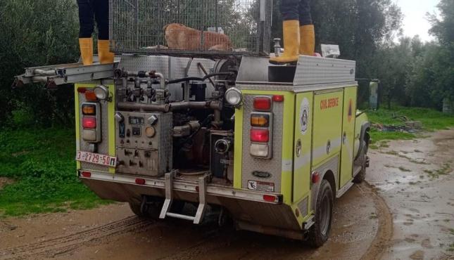 الامساك بكلب مسعور (2).jpeg