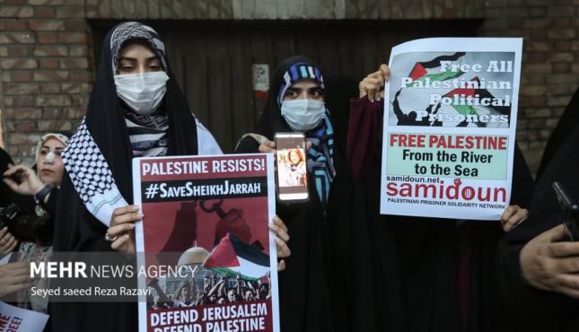 WhatsApp Image 2022-05-12 at 9.57.06 PM.jpeg