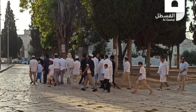 WhatsApp Image 2022-10-05 at 08.31.34.jpeg