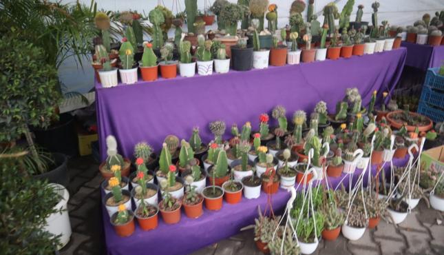 افتتاح معرض ربيع بلادي للنباتات والزهور بغزة 8.jpg