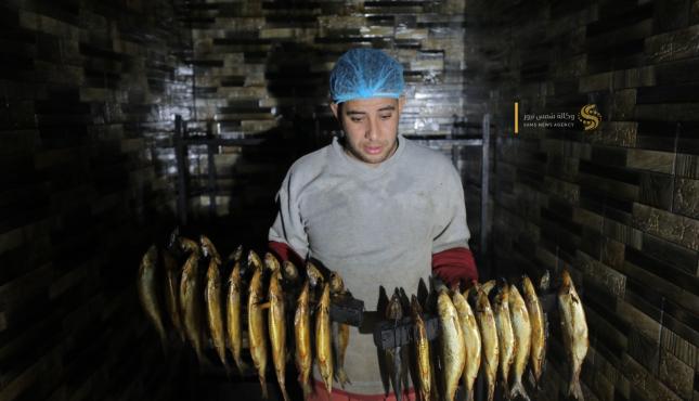 تجهيز سمك الفسيخ (5).jpg