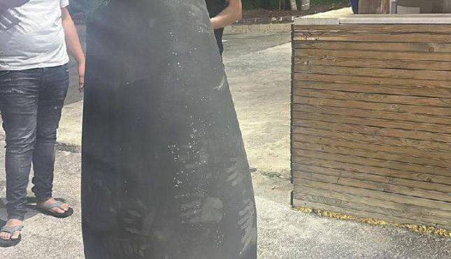 بقايا صواريخ الدفاع الجوي السوري (2).jpeg