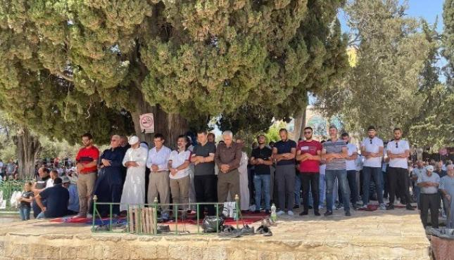 صلاة الجمعة في المسجد الأقصى (2).jpg