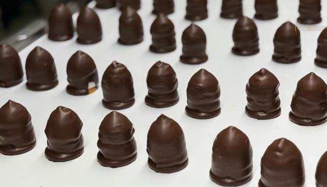 حلوى الشتوي في أوروبا (9).jpg