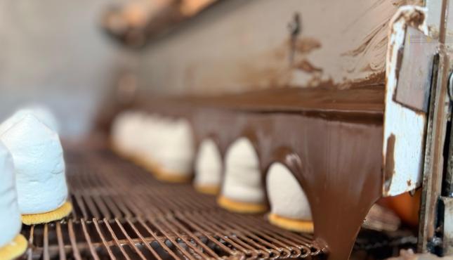 حلوى الشتوي في أوروبا (21).jpg