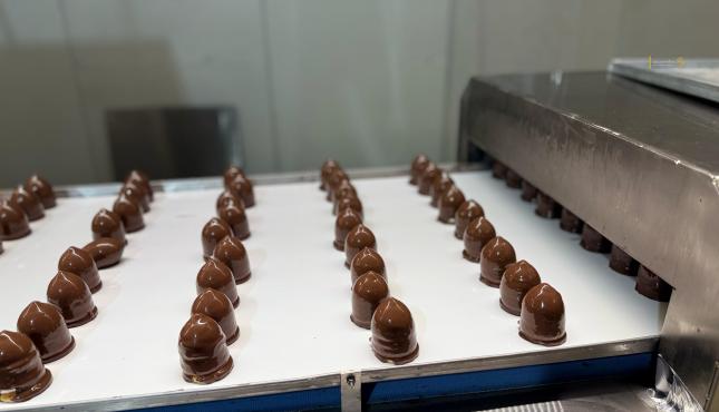 حلوى الشتوي في أوروبا (23).jpg