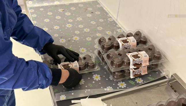 حلوى الشتوي في أوروبا (4).jpg