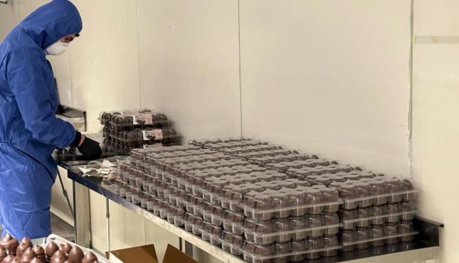 حلوى الشتوي في أوروبا (3).jpg