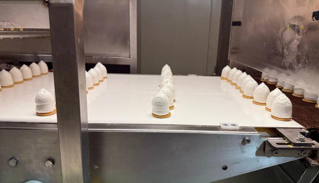 حلوى الشتوي في أوروبا (19).jpg