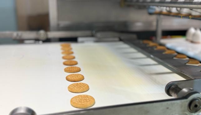 حلوى الشتوي في أوروبا (10).jpg