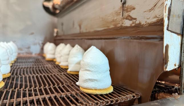 حلوى الشتوي في أوروبا (13).jpg