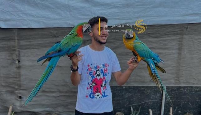 تربية الحيوانات في غزة