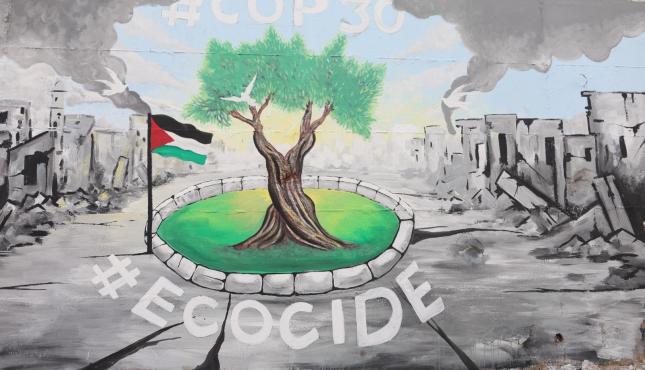 بالصور نشطاء من غزة يرسمون جدارية تندد بالإبادة البيئية وتوجه رسالة إلى قادة مؤتمر المناخ في البرازيل