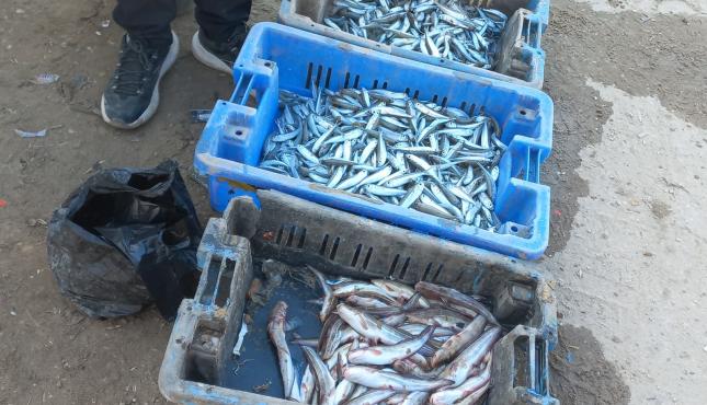 مهنة الصيد (9).jpg