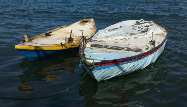 مهنة الصيد (1).jpg