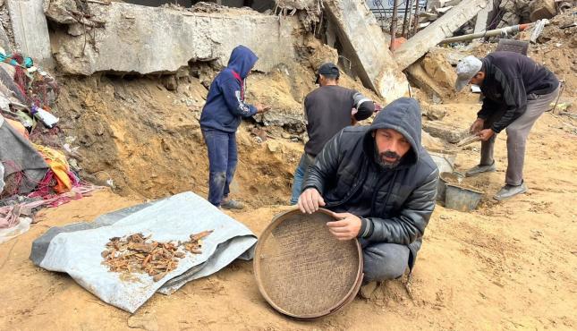 المنخل (2).jpg