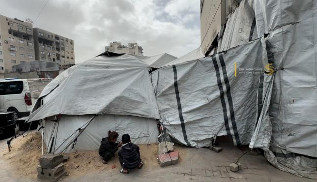 مرح الزعانين 14.jpg