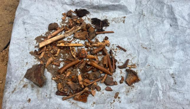 المنخل (1).jpg