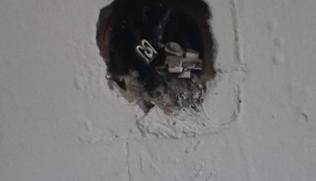 6bc1504f-1bca-4272-9b18-0db99ad7853d (1).jpg