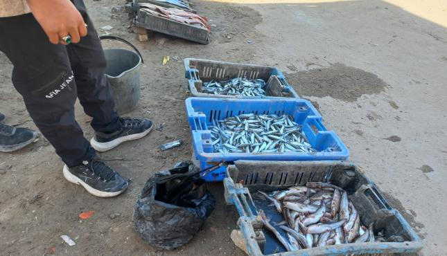 مهنة الصيد (3).jpg