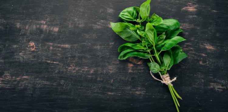 عشبة الريحان