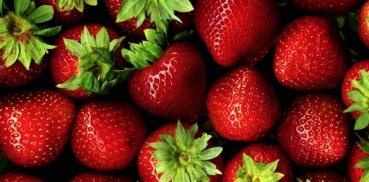الفراولة وفوائدها.jpg