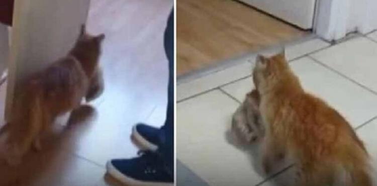 قطعة تحمل ابنها.jpg