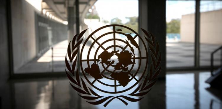 الامم المتحدة