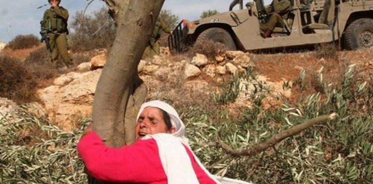 يوم الأرض.jpg