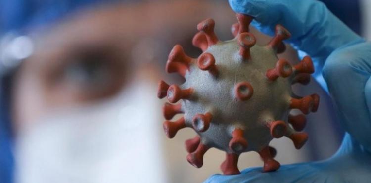 فيروس كورونا.jpg